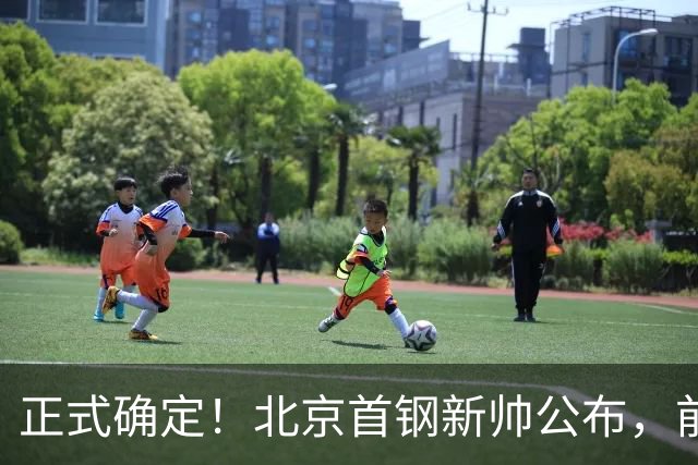 正式确定！北京首钢新帅公布，前中国男篮主教练上任，冲击总冠军
